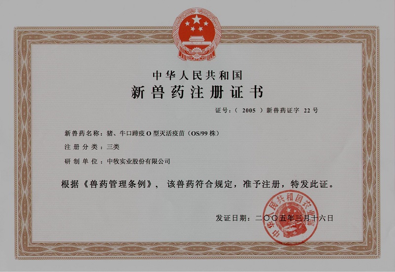 16.16.jpg