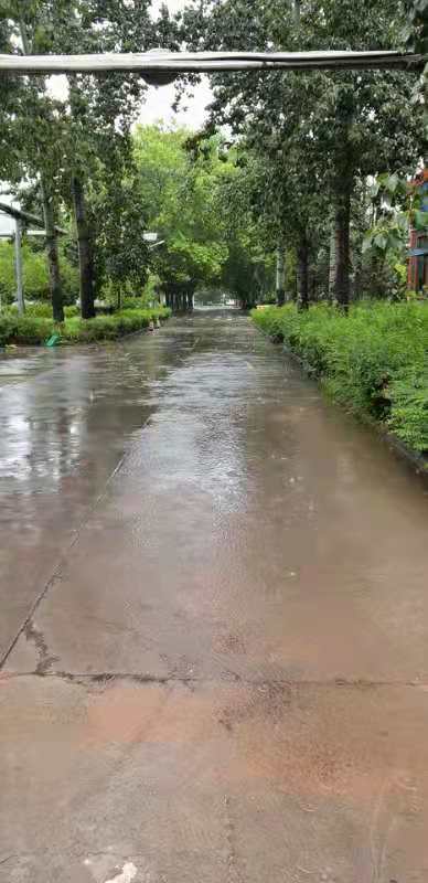 鄭州廠防汛報(bào)道2.jpg