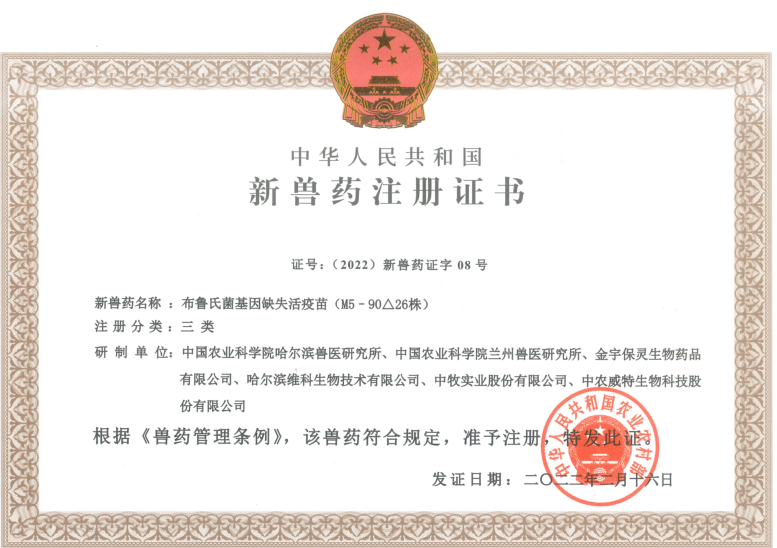 1布魯氏.png