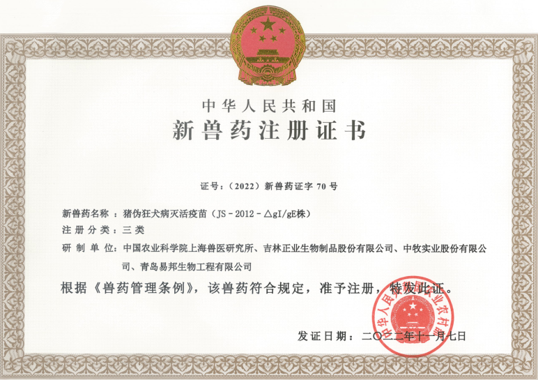 2豬偽狂犬.png