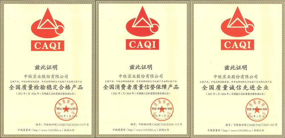 三個(gè)獎(jiǎng)項(xiàng)拼接_副本.jpg