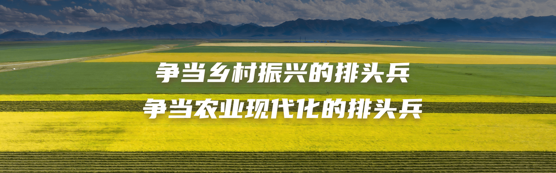 爭當鄉(xiāng)村振興的排頭兵 爭當農(nóng)業(yè)現(xiàn)代化的排頭兵