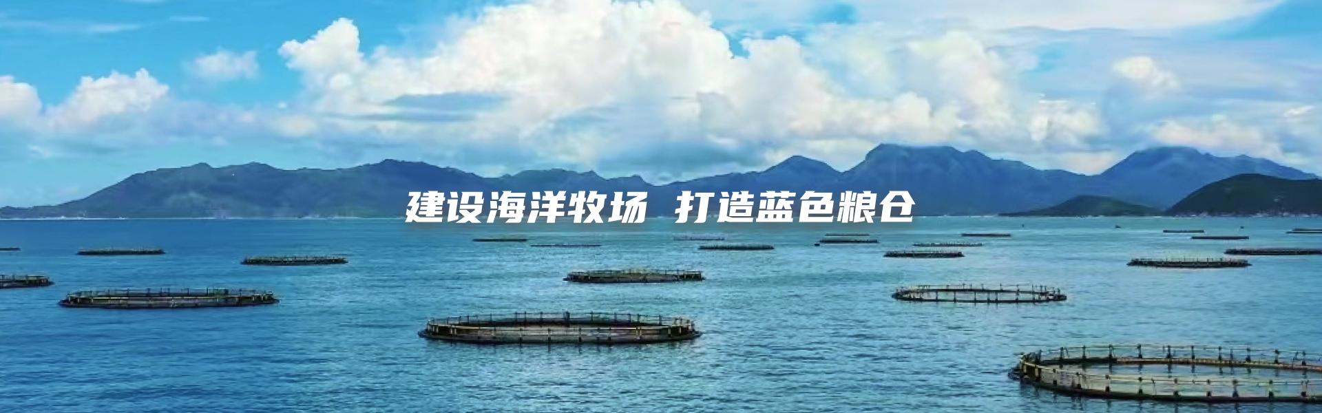 建設(shè)海洋收場 打造藍色糧倉
