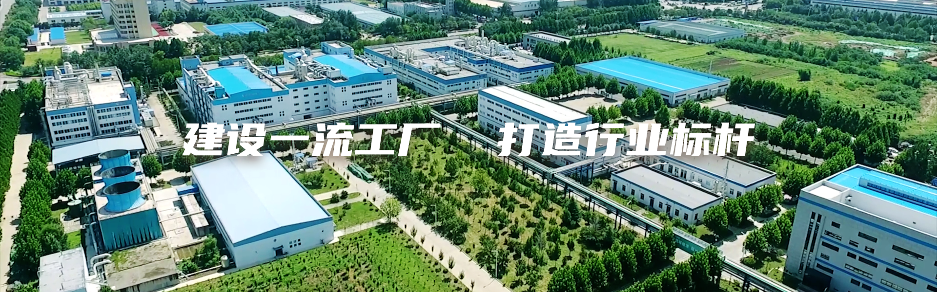 畜牧業(yè)勝利生物：建設(shè)一流企業(yè) 打造一流工廠